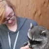 Volunteer Small Animal Rescue Projects in Vancouver and Central Ontario