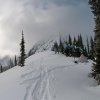 Winter Season Conservation Volunteer Project in Lake Louise and Banff National Park